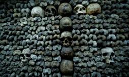 Des crânes et des ossements humains alignés contre un mur des catacombes de Paris, le 24 mars 2026