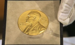 La médaille Nobel. Les travaux sur les nouveaux matériaux et l'intelligence artificielle figurent en bonne position pour le prix de chimie 2024