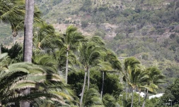Météo réunion 