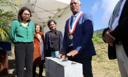 chantier plainte des palmistes