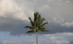 météo réunion 