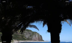 météo réunion 