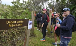 Disparition de Nicolas Aulezy : de nombreuses personnes regroupées à Piton Fougère pour le retrouver