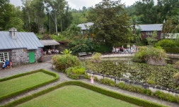 Mascarin-Jardin Botanique de La Réunion ( Crédits : Bruno Bamba - Département de La Réunion)