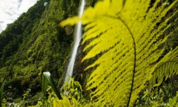 paysages 