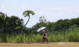 Météo réunion 