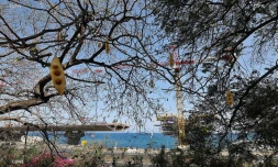 travaux route du littoral