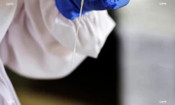 Test Coronavirus 