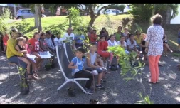 Distribution de plantes Saint-François