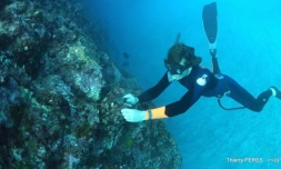 Nettoyage des fonds sous-marin