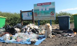 nettoyage cap la houssaye