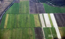 champ agriculture 