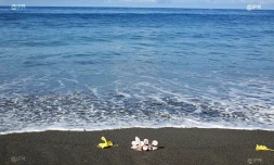 Attaque requin l\'Etang-Salé