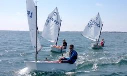 Voile