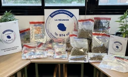 Trafic de stupéfiants : six personnes interpellées à Saint-Pierre