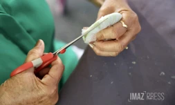 Saint-Pierre : une journée pour sensibiliser à la maladie d'Alzheimer [?]