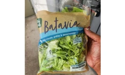 Risque de Listéria mono : rappel de sachets de salade Vallée Créole