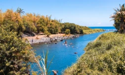 Saint-Benoit : la baignade de nouveau autorisée dans trois bassins de la commune