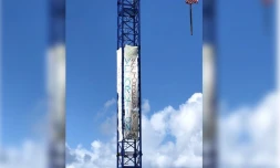grue saint-pierre