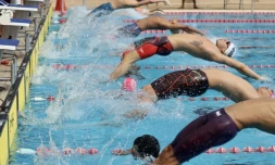 Natation comité régional Championnat hiver