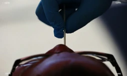 test coronavirus 