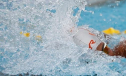 meeting natation 2017