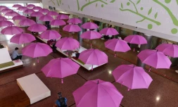  Octobre Rose : le CHU de La Réunion organise des journées de dépistage