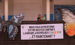 Papillons du déconfinement
