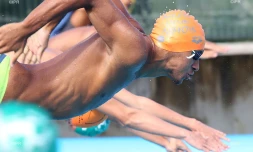Natation 