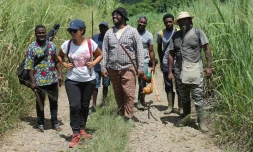 Nouvelle saison kabardock