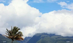 paysages 