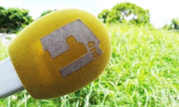 Réunion 1ere Radio