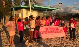 Femmes contre la crise requin, femmes en rose, Girardin