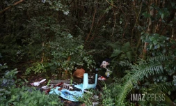 déchets dans la nature
