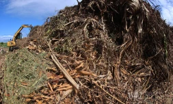 déchets vert Ileva au Port