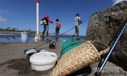 pecheurs à la golette 