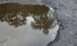 pluie