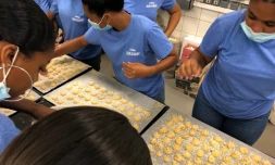 Collégiens possessionaires en visite au lycée de la Renaissance