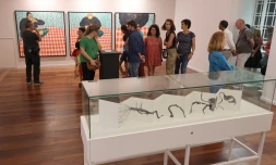 Exposition Re-Bird à l'Artothèque