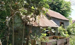 Saint-Pierre : la minoterie du Vieux domaine de la Ravine des Cabris va être restaurée 