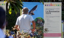 exposition "Histoire des Hommes et des espèces à La Réunion"