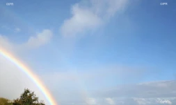 météo réunion 
