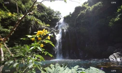 bassins des Cormorans 
