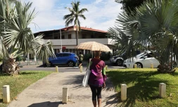 météo réunion 