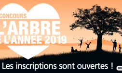 concours, arbre de l'année, inscriptions