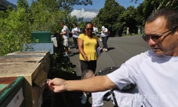 cindy barbe robert en boittage Ă bois de pomme