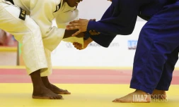 illustration judo 