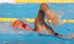 natation