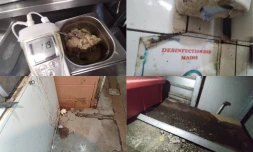 Saint-Paul : un restaurant fermé d’urgence pour graves manquements à l’hygiène