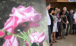 La rose de bourbon